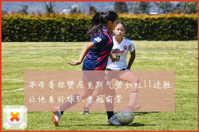 字母哥称赞尼克斯气势如虹11连胜让他看好球队夺冠前景